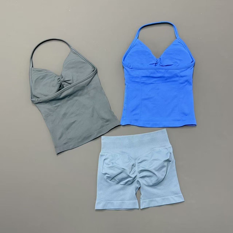 2 Piece Gym Set Women Seamless - đánh giá và giá Yoga Fitness Wear