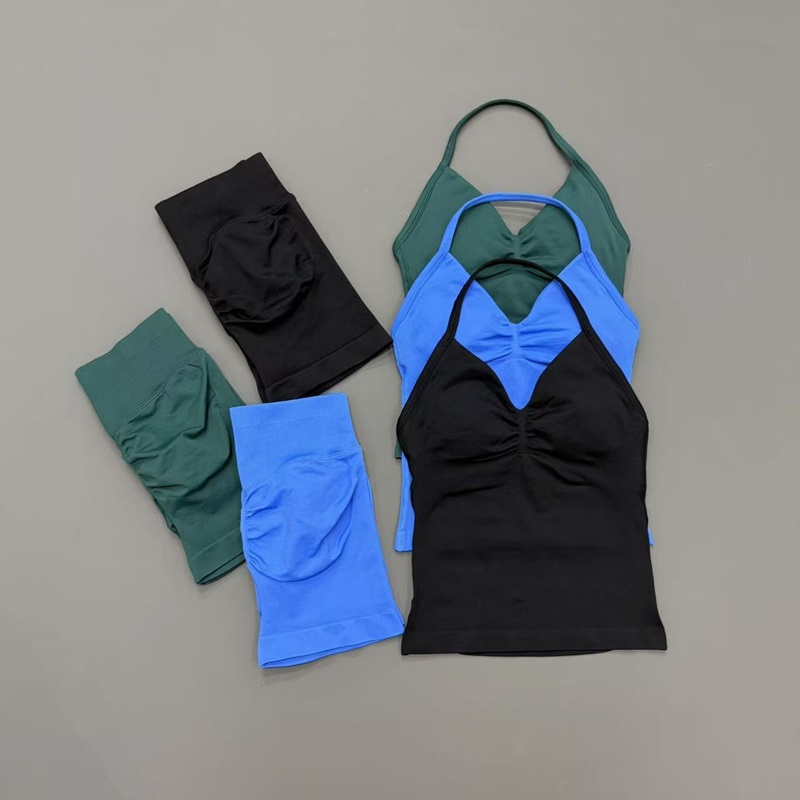 2 Piece Gym Set Women Seamless - đánh giá và giá Yoga Fitness Wear